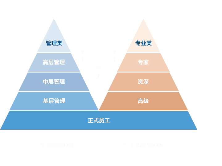 j9九游会 